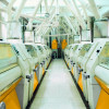 COMPLETED FLOUR MILL PLANT